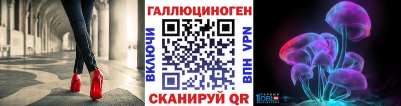 Галлюциногенные грибы Magic Shrooms  Купить где  Горно-Алтайск 